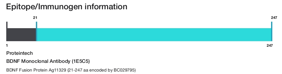 BDNF Monoclonal Antibody (1E5C5)