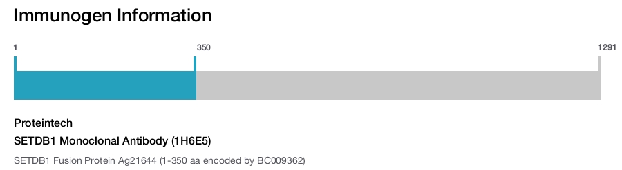 SETDB1 Monoclonal Antibody (1H6E5)