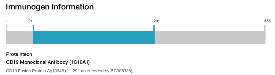 CD19 Monoclonal Antibody (1C10A1)