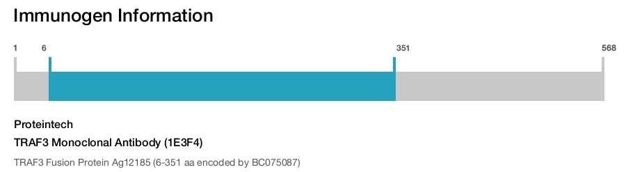 TRAF3 Monoclonal Antibody (1E3F4)