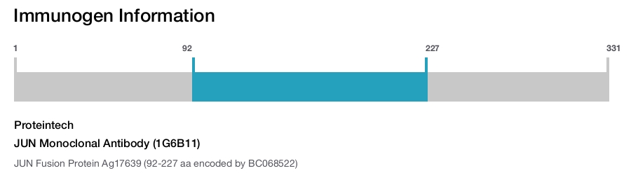 JUN Monoclonal Antibody (1G6B11)