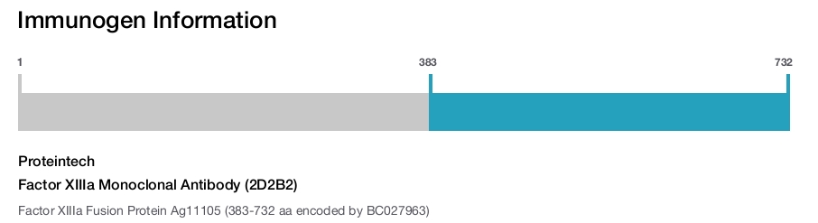 Factor XIIIa Monoclonal Antibody (2D2B2)