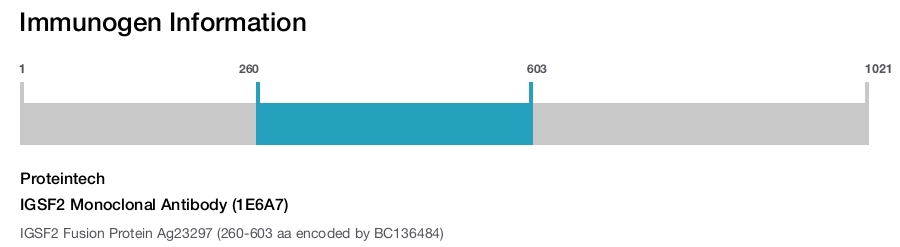 IGSF2 Monoclonal Antibody (1E6A7)