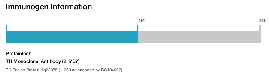 TH Monoclonal Antibody (2H7B7)