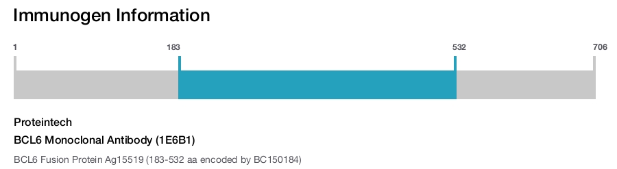 BCL6 Monoclonal Antibody (1E6B1)