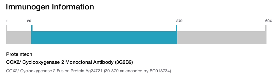 COX2/ Cyclooxygenase 2 Monoclonal Antibody (3G2B9)
