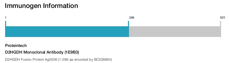 D2HGDH Monoclonal Antibody (1E9B3)
