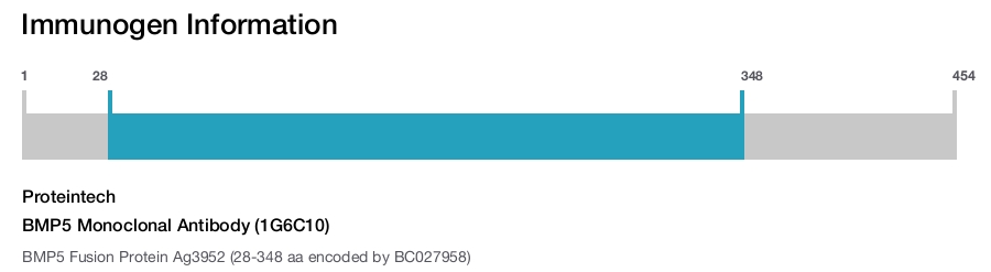 BMP5 Monoclonal Antibody (1G6C10)