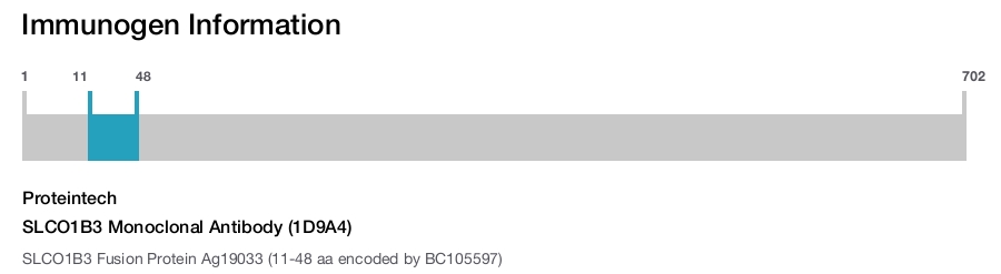 SLCO1B3 Monoclonal Antibody (1D9A4)