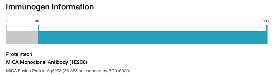 MICA Monoclonal Antibody (1E2C8)