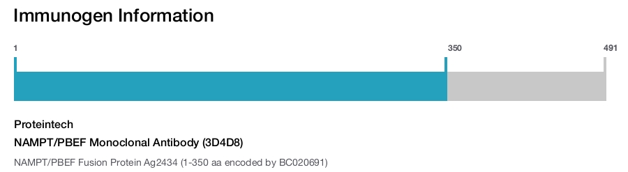 NAMPT/PBEF Monoclonal Antibody (3D4D8)