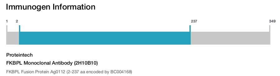 FKBPL Monoclonal Antibody (2H10B10)