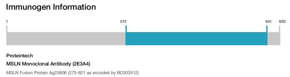 MSLN Monoclonal Antibody (2E3A4)