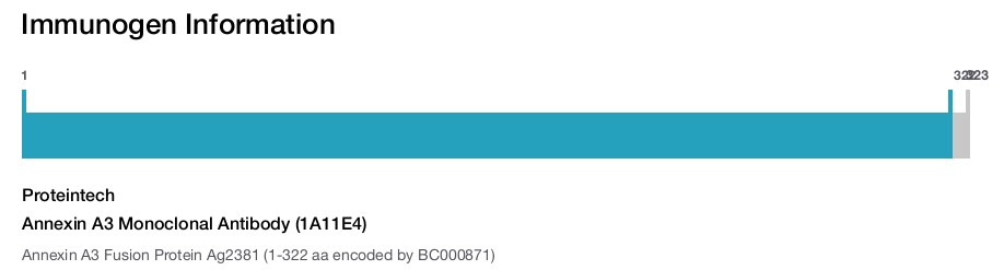 Annexin A3 Monoclonal Antibody (1A11E4)