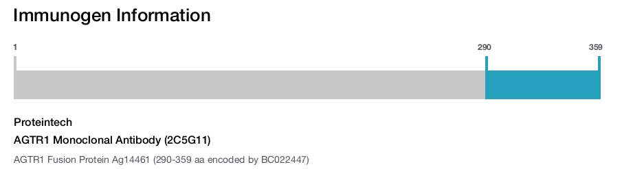 AGTR1 Monoclonal Antibody (2C5G11)