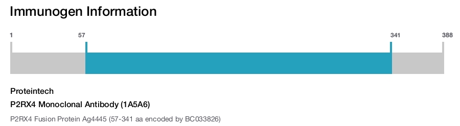 P2RX4 Monoclonal Antibody (1A5A6)