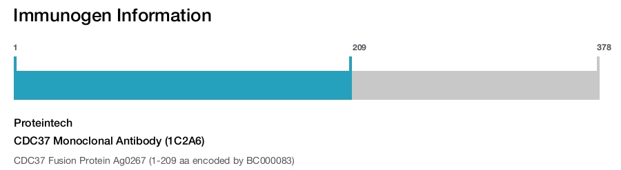 CDC37 Monoclonal Antibody (1C2A6)