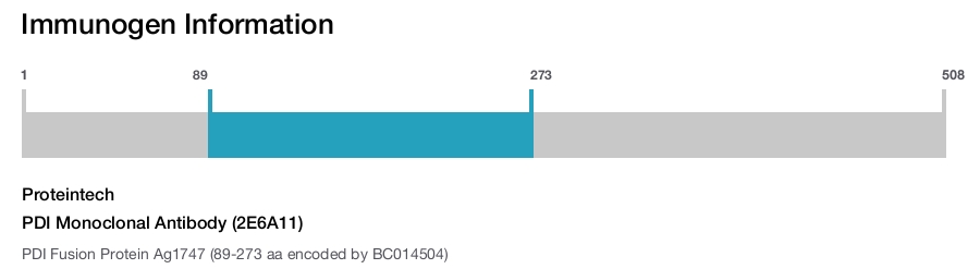 PDI Monoclonal Antibody (2E6A11)