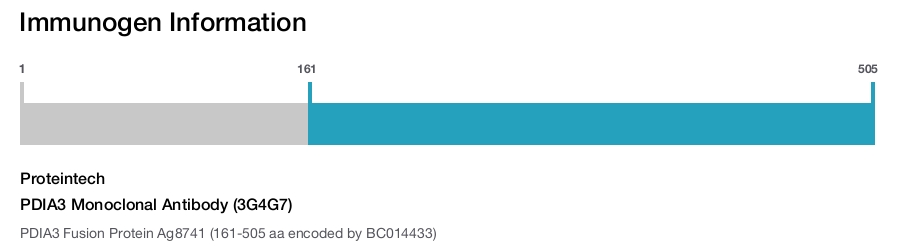 PDIA3 Monoclonal Antibody (3G4G7)