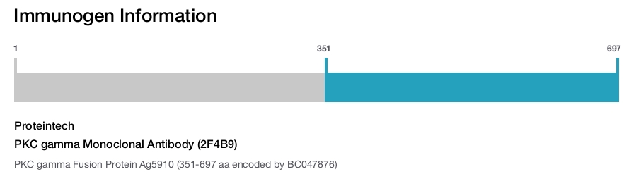 PKC gamma Monoclonal Antibody (2F4B9)