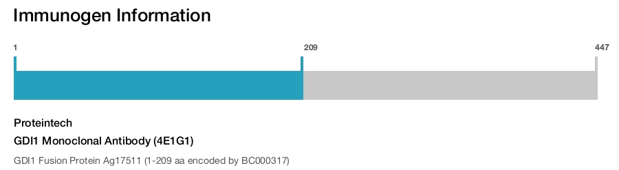 GDI1 Monoclonal Antibody (4E1G1)