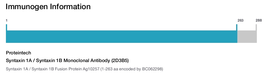 Syntaxin 1A / Syntaxin 1B Monoclonal Antibody (2D3B5)