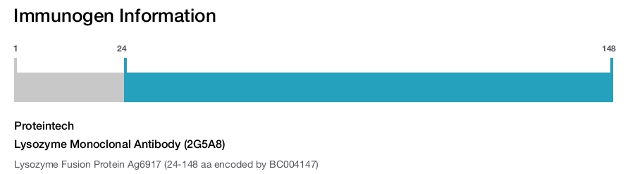 Lysozyme Monoclonal Antibody (2G5A8)