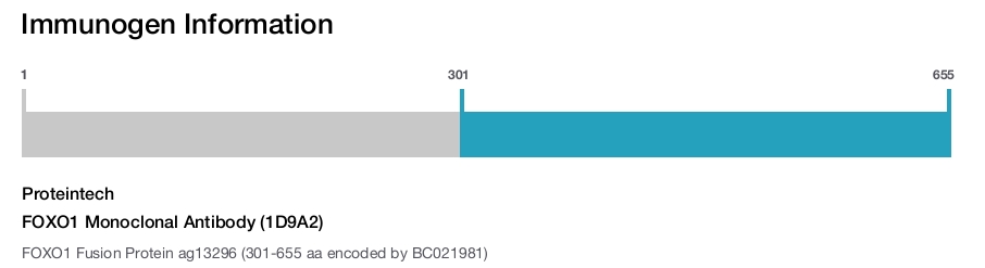 FOXO1 Monoclonal Antibody (1D9A2)
