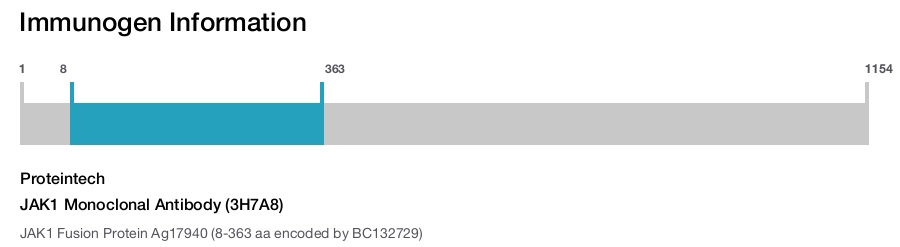 JAK1 Monoclonal Antibody (3H7A8)