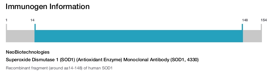 Superoxide Dismutase 1 (SOD1) (Antioxidant Enzyme) Monoclonal Antibody (SOD1, 4330)