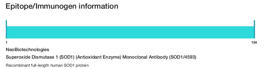 Superoxide Dismutase 1 (SOD1) (Antioxidant Enzyme) Monoclonal Antibody (SOD1/4593)