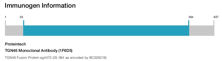 TGN46 Monoclonal Antibody (1F6D5)
