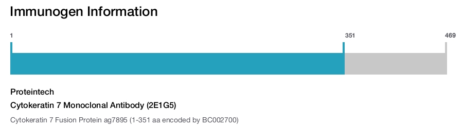 Cytokeratin 7 Monoclonal Antibody (2E1G5)