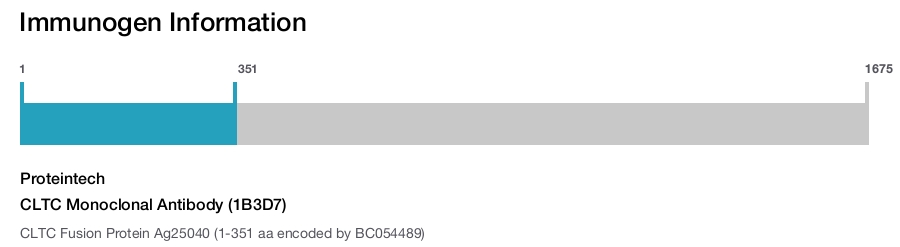 CLTC Monoclonal Antibody (1B3D7)