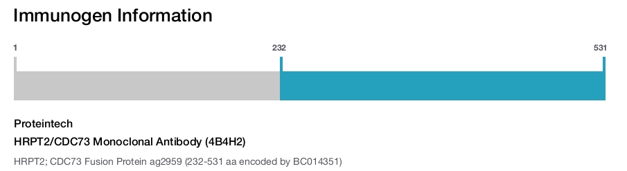 HRPT2/CDC73 Monoclonal Antibody (4B4H2)