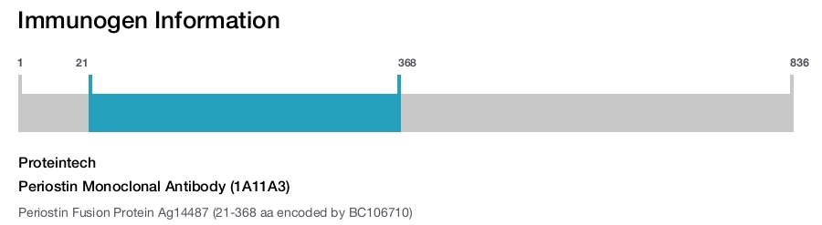 Periostin Monoclonal Antibody (1A11A3)