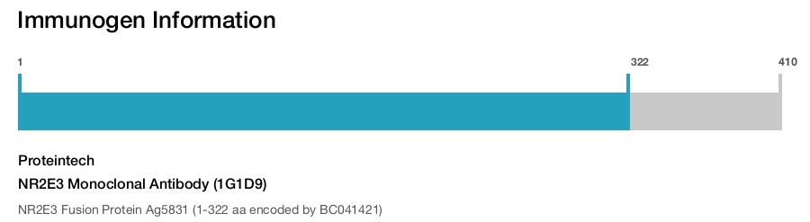 NR2E3 Monoclonal Antibody (1G1D9)