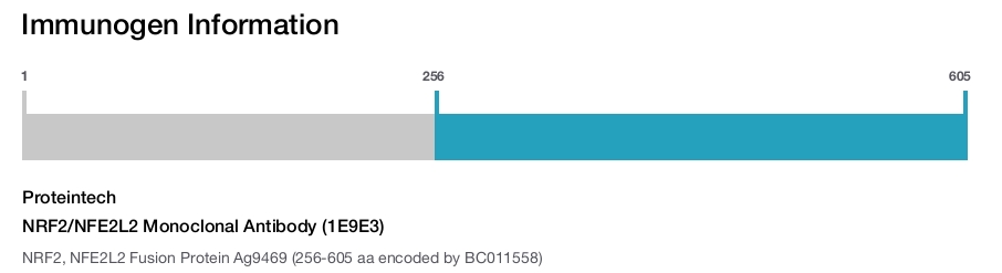 NRF2/NFE2L2 Monoclonal Antibody (1E9E3)