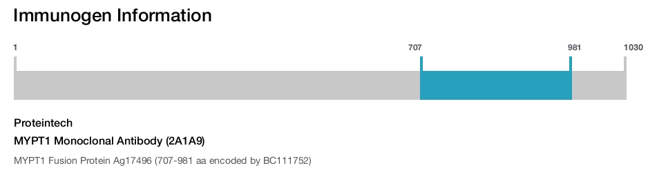 MYPT1 Monoclonal Antibody (2A1A9)