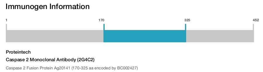Caspase 2 Monoclonal Antibody (2G4C2)