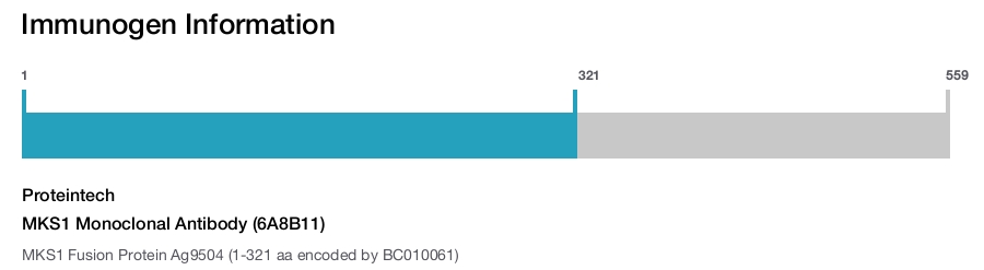 MKS1 Monoclonal Antibody (6A8B11)