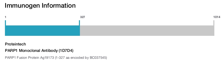 PARP1 Monoclonal Antibody (1D7D4)
