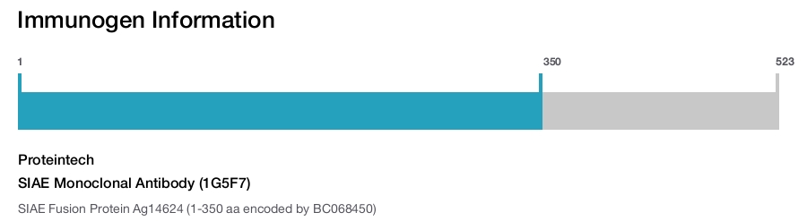 SIAE Monoclonal Antibody (1G5F7)