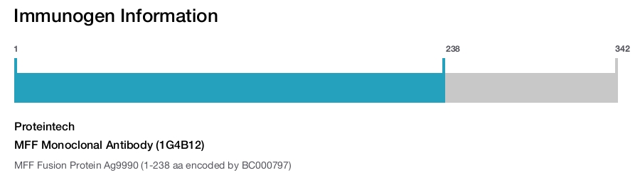 MFF Monoclonal Antibody (1G4B12)