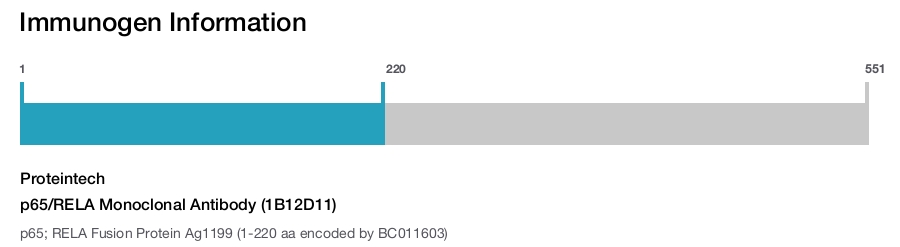 p65/RELA Monoclonal Antibody (1B12D11)