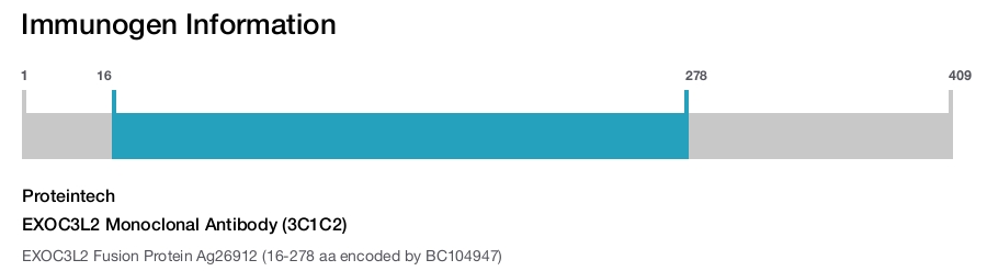 EXOC3L2 Monoclonal Antibody (3C1C2)