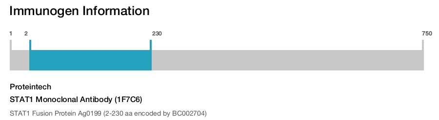 STAT1 Monoclonal Antibody (1F7C6)