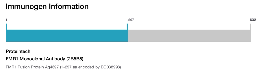 FMR1 Monoclonal Antibody (2B5B5)