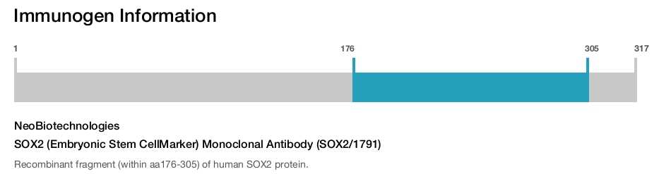 SOX2 (Embryonic Stem CellMarker) Monoclonal Antibody (SOX2/1791)