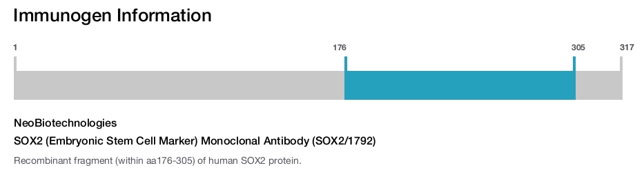 SOX2 (Embryonic Stem Cell Marker) Monoclonal Antibody (SOX2/1792)